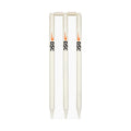 DSC Bleached & Polished Stump Set