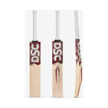 DSC Condor Series Players Edition English Willow Bat