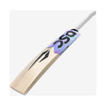 DSC Cynos Series 4040 English Willow Bat
