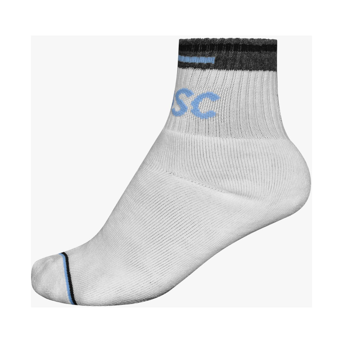 DSC DSC-07