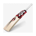 DSC Intense Series Attitude English Willow Bat