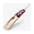 DSC Intense Series PRO English Willow Bat