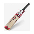 DSC Intense Series Zeal Kashmir Willow Bat