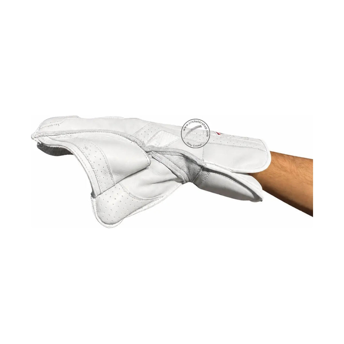 SS Reserve Edition Wicket Keeping Gloves